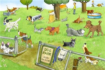 Bradenstoke Dog Park Closure